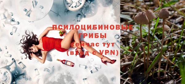 бошки Алзамай