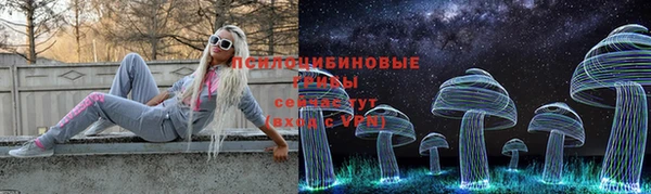 бошки Алзамай