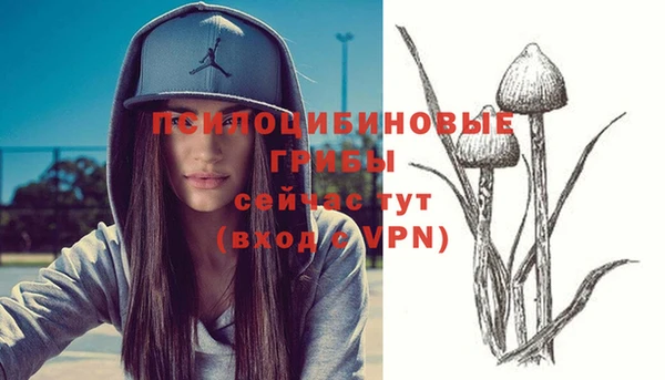 амфетамин Алексеевка