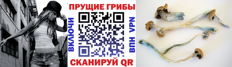 Галлюциногенные грибы ЛСД  Муравленко 