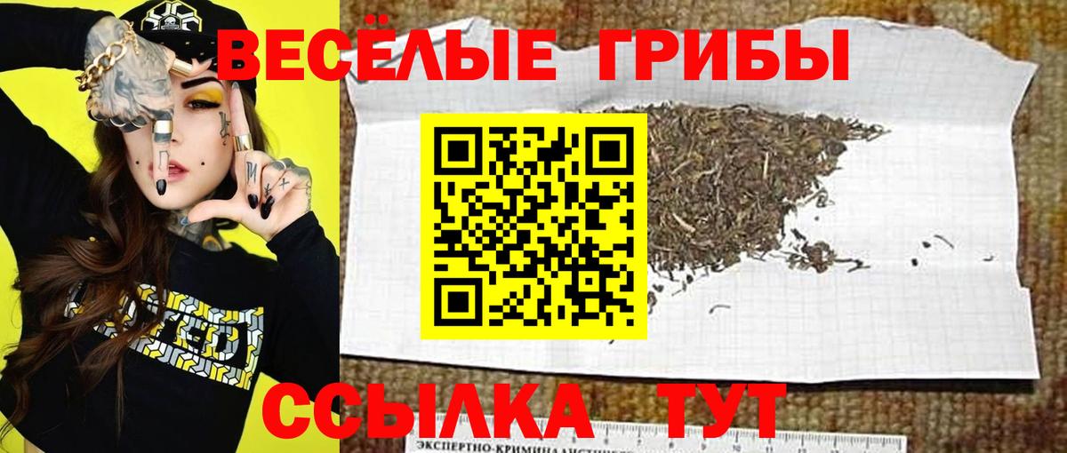 Муравленко  Галлюциногенные грибы мухоморы  наркотики  Вход с VPN 